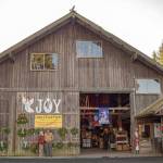 Sequim Gazette file photo by Emily Matthiessen/
Pictured in December 2024, Ann and Steve Johnson stand outside the Christmas Barn at Lazy J Tree Farm on the cusp of their busiest weekend of the U-Cut season. Johnson has spent his whole life on the farm, which has become a seasonal destination for local families for the last forty years. Former Gazette reporter Emily Matthiessen won Third Place, Business Feature Story, Group 2 in the Washington Newspaper Publisher Associations 2025 Better Newspaper Contest.