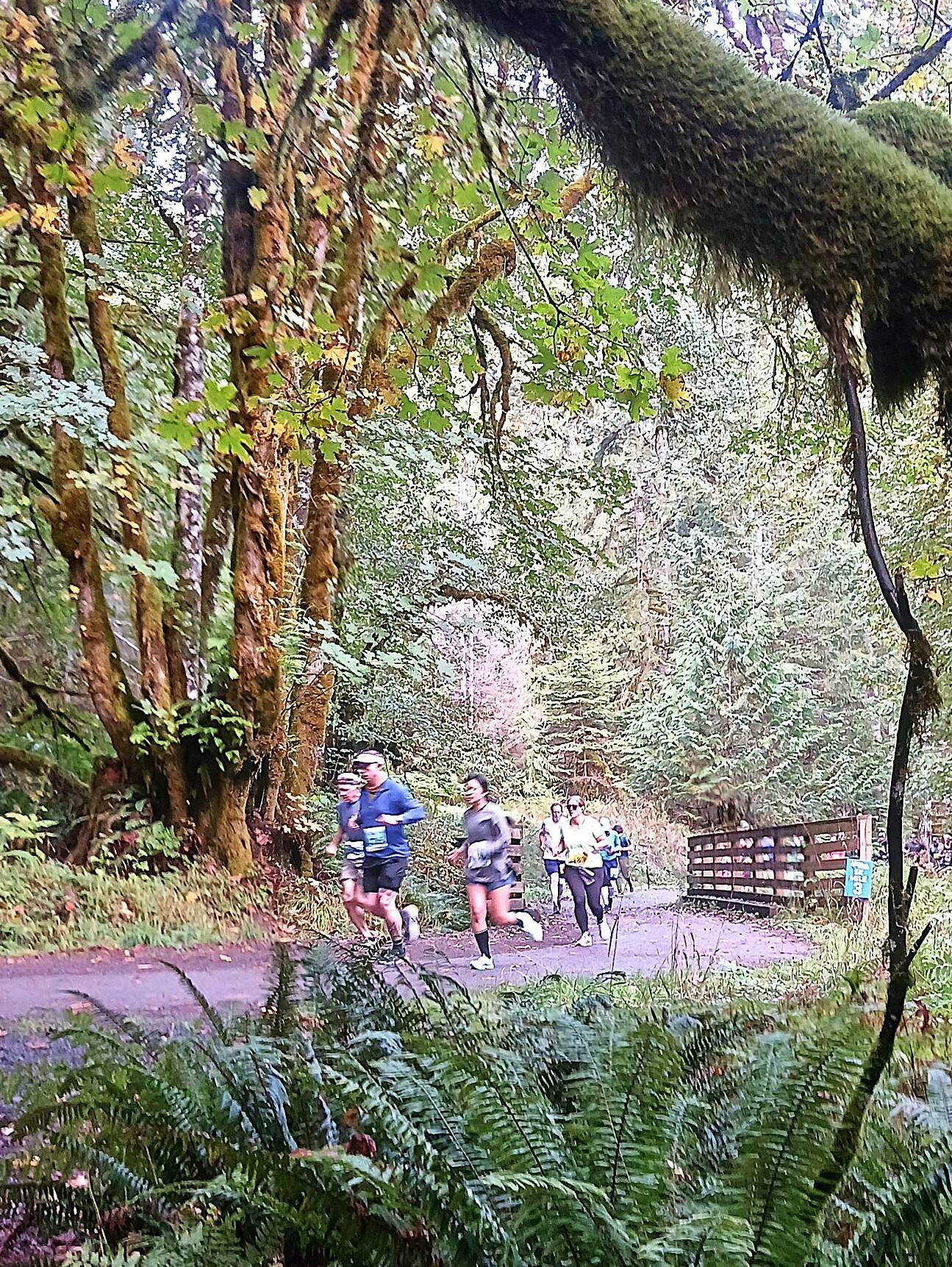 Photo by Pierre LaBossier, Olympic Peninsula News Group/
Runners take the path through thick rainforest at the Spruce Railroad Run.