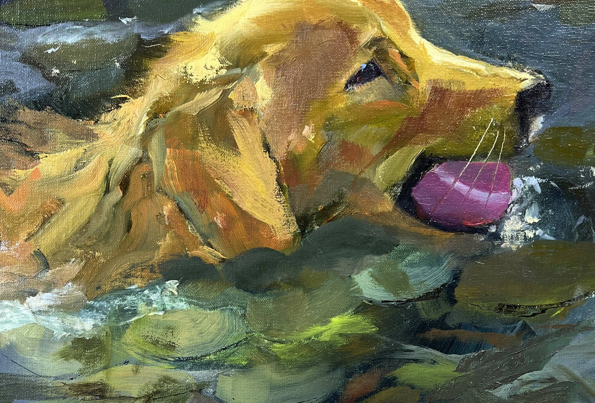 Fetch! by Molly Chris White