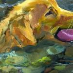 Fetch! by Molly Chris White