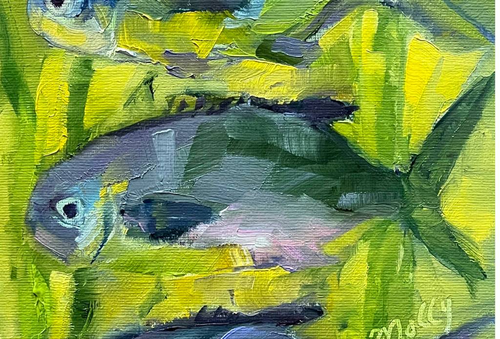 Pompano and Circumstance by Molly Chris White