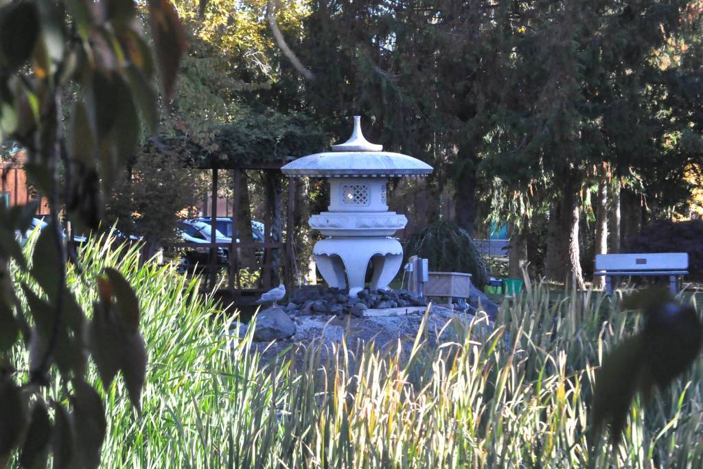 Sequim Gazette photo by Matthew Nash/
The lantern in the Sequim-Shiso City Friendship Garden was donated by a Japanese artist in 1997 and remains a popular feature nearly 30 years later.