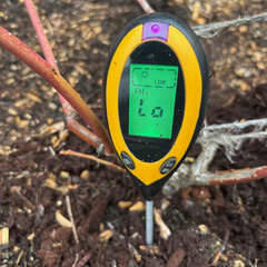 Photo by Susan Kalmar 
Now is the perfect time to do soil testing in preparation for the next growing season.