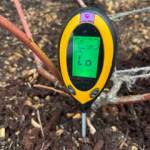 Photo by Susan Kalmar 
Now is the perfect time to do soil testing in preparation for the next growing season.