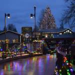 Photo by Mike Dashiell/Jamestown SKlallam Tribe
Many people come to see the Jamestown SKlallam Tribes holiday lights display at the Dungeness River Nature Center, which includes a towering tree.