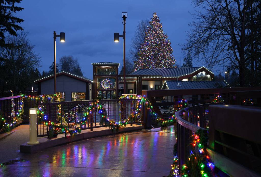 Photo by Mike Dashiell/Jamestown SKlallam Tribe
Many people come to see the Jamestown SKlallam Tribes holiday lights display at the Dungeness River Nature Center, which includes a towering tree.