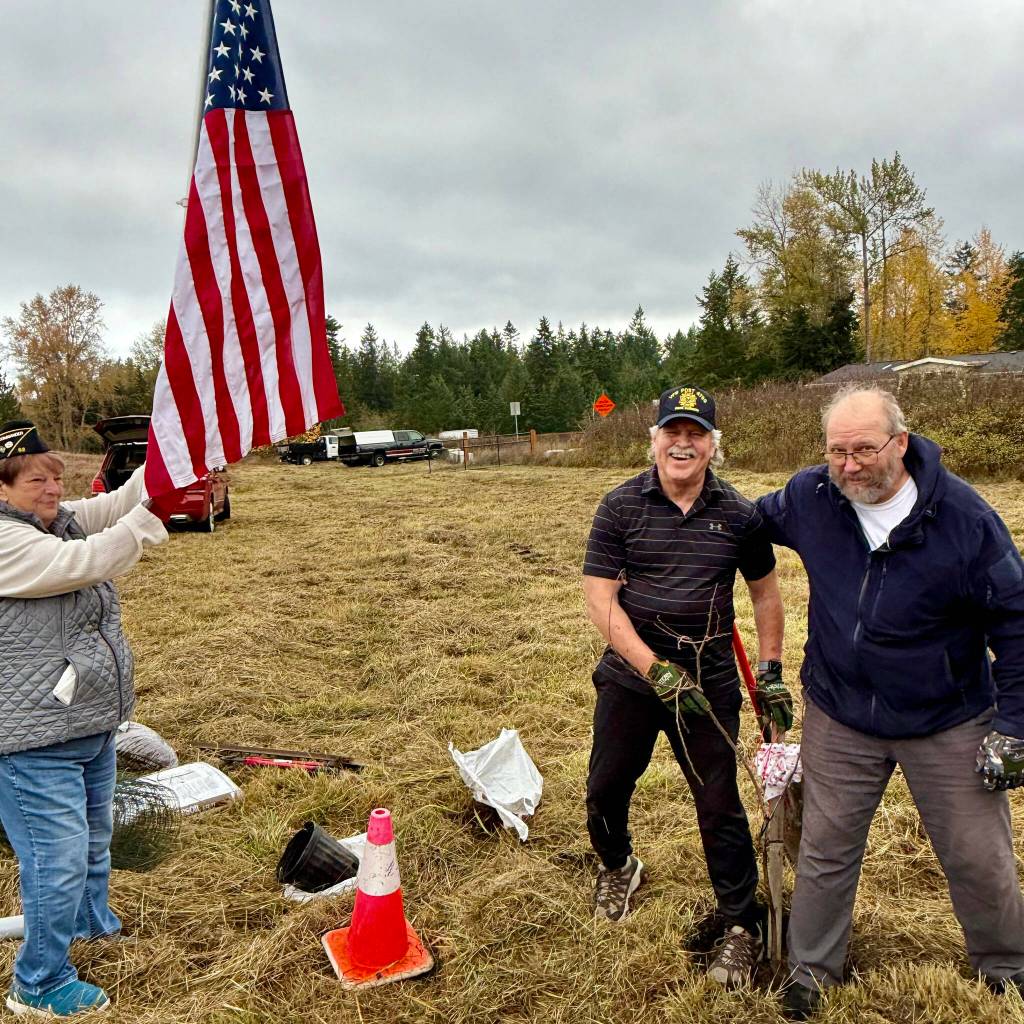 Photo courtesy Judy Tordini/ Kevin ONeill, center, commander of Sequim VFW Post #4760, stamps the earth around the Herbie American Elm clone that was planted Oct. 30 at the Joseph L. Keeler Memorial Park as part of the America250 initiative celebrating the countrys 250th birthday.
