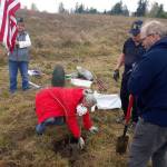 Photo courtesy Judy Tordini/ Registered as clone #111, the American Elm tree is a clone of Herbie, one of Americas most famous and longest-living elm trees, symbolizing resilience, history and national heritage.