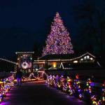 Photo courtesy Dungeness River Nature Center/ The Dungeness River Nature Center is offering free events during the month of December as part of its Twinkling Lights and Holiday Delights program.