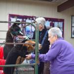 Sequim Gazette photo by Monica Berkseth/ Lyn Fiveash, right, and Priscilla Hudson take a break from shopping at the Falalallama Holiday Bazaar in Sequim to feed and pet some of the animals representing Olympic Peninsula Alpaca Rescue.