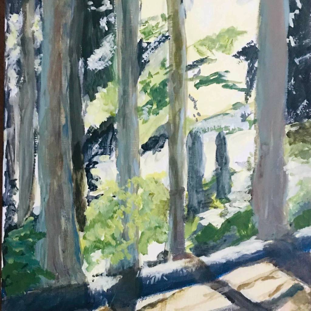 Forest Light by Mary Franchini