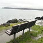 Sequim Gazette photo by Matthew Nash
A shoe with remains was discovered the morning of Dec. 9 by a park-goer about 50 feet north of the Port Williams Beach boat launch in the Marlyn Nelson County Park in Sequim. Clallam County Sheriffs Office reports that the remains were from a bear and no human genetic material was found in the shoe.