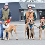 Sequim Gazette photo by Monica Berkseth/ John and Darla Campbell of Sequim wish everyone a merry Christmas, as do their canine companions who are dressed in holiday attire: Daisy, Kodiak and Sir Dudley Do Right.