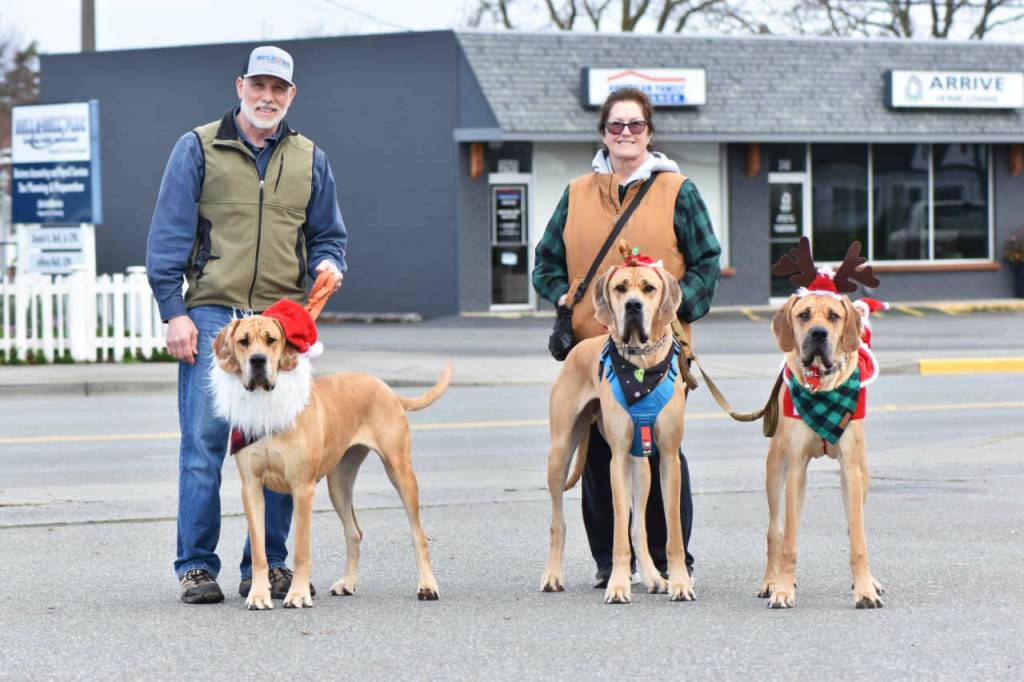 Sequim Gazette photo by Monica Berkseth/ John and Darla Campbell of Sequim wish everyone a merry Christmas, as do their canine companions who are dressed in holiday attire: Daisy, Kodiak and Sir Dudley Do Right.