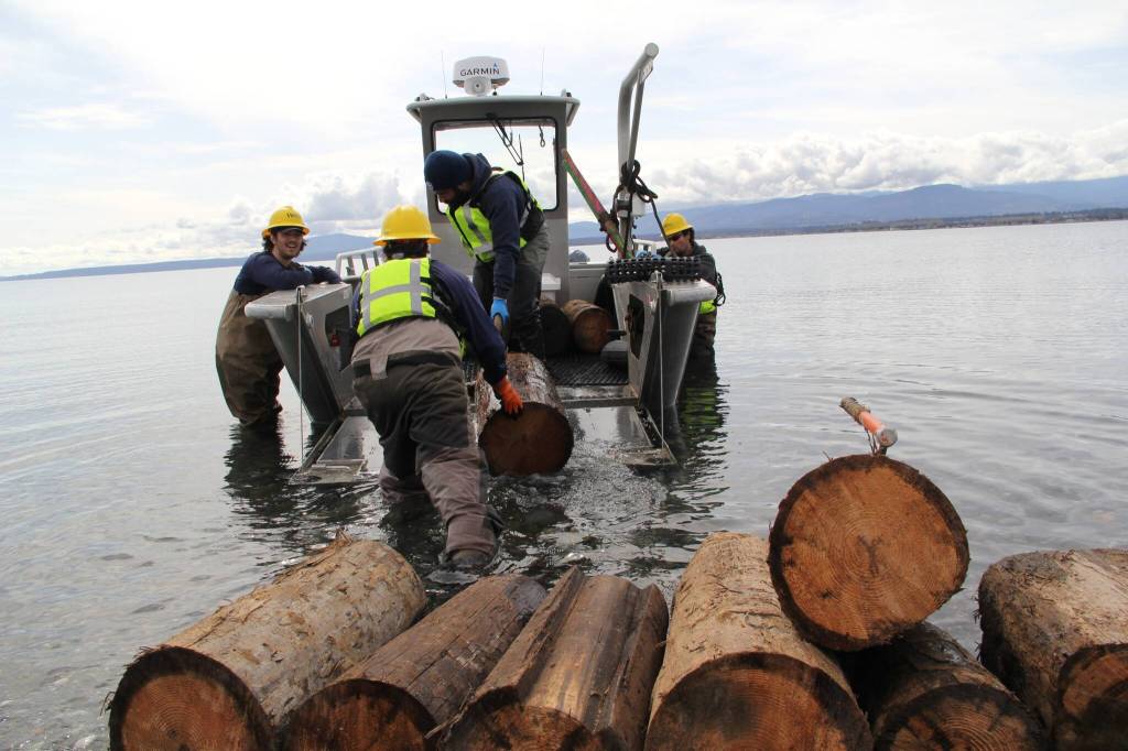 Photo courtesy Washington Department of Natural Resources
From March 31-April 10, state and tribal crews removed 19,290 pounds of toxic wood and other large marine debris from the Dungeness Spit.
