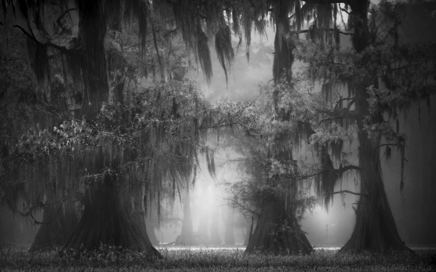 Into the White by Susan White is on display at the A. Milligan Art Studio & Gallery at 520 N. Sequim Ave. as part of the Olympic Peninsula Art Associations Annual Members Show and Fundraiser.