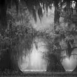 Into the White by Susan White is on display at the A. Milligan Art Studio & Gallery at 520 N. Sequim Ave. as part of the Olympic Peninsula Art Associations Annual Members Show and Fundraiser.