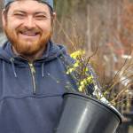 Sequim Gazette file photo by Emily Matthiessen
Stew Cockburn, a foreman at New Dungeness Nursery and Landscapes by Cockburn, holds one of his favorite plants: winter hazel.