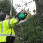 Sequim Gazette file photo by Matthew Nash/
Clallam PUD staff plan to place about 6,200 feet of electric wire underground along Diamond Point Road, pictured here in 2024 with Debbie Long placing ornaments prior to Christmas. The $900,000 project would eliminate tree-related outages, reduce wildfire risk, and improve voltage and capacity along Diamond Point Road, according to PUD staff.