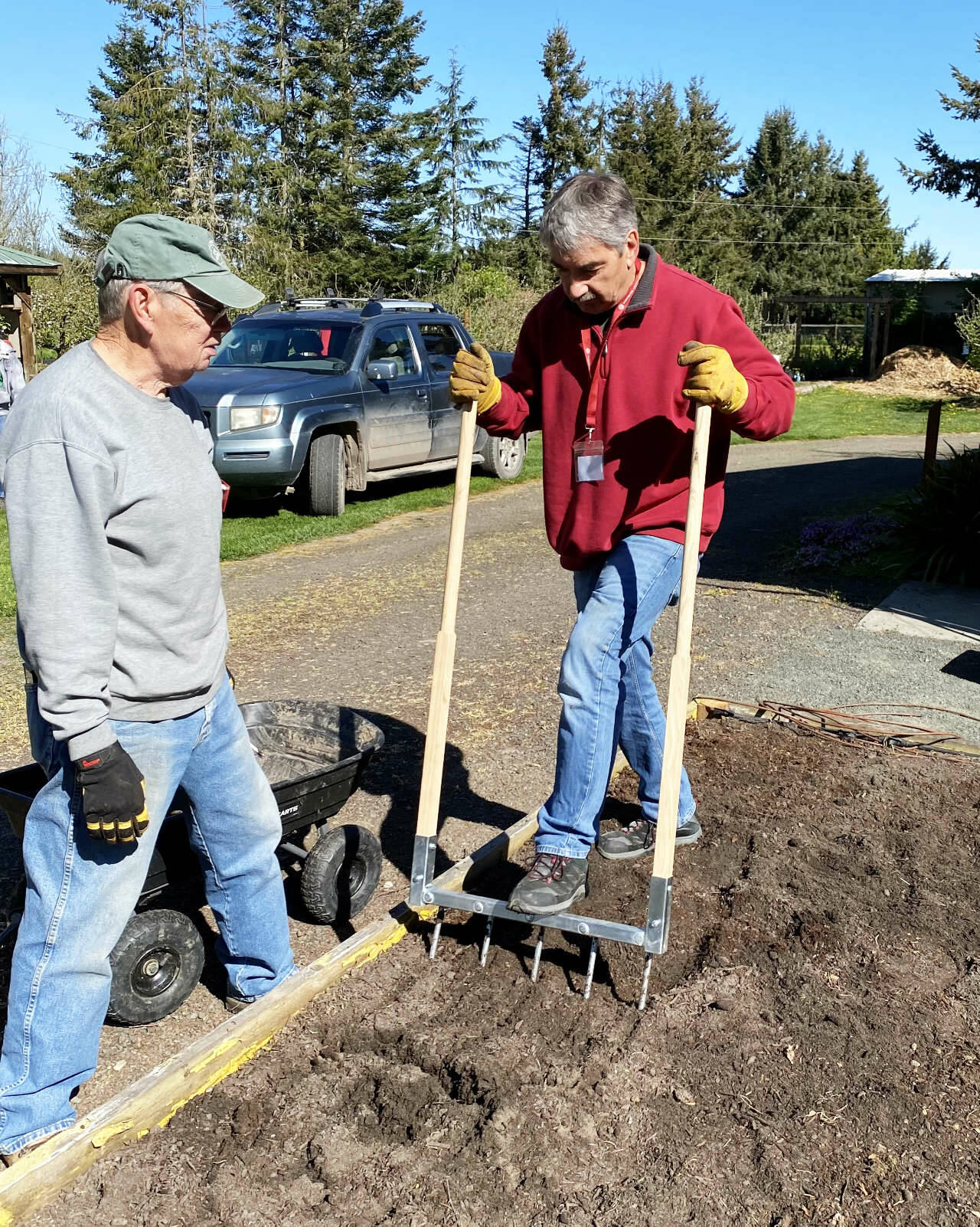 Photo by Dave Eberle
Master Gardeners Tom Zingarelli and David Rambin broadfork to aerate a compacted bed and promote soil health.