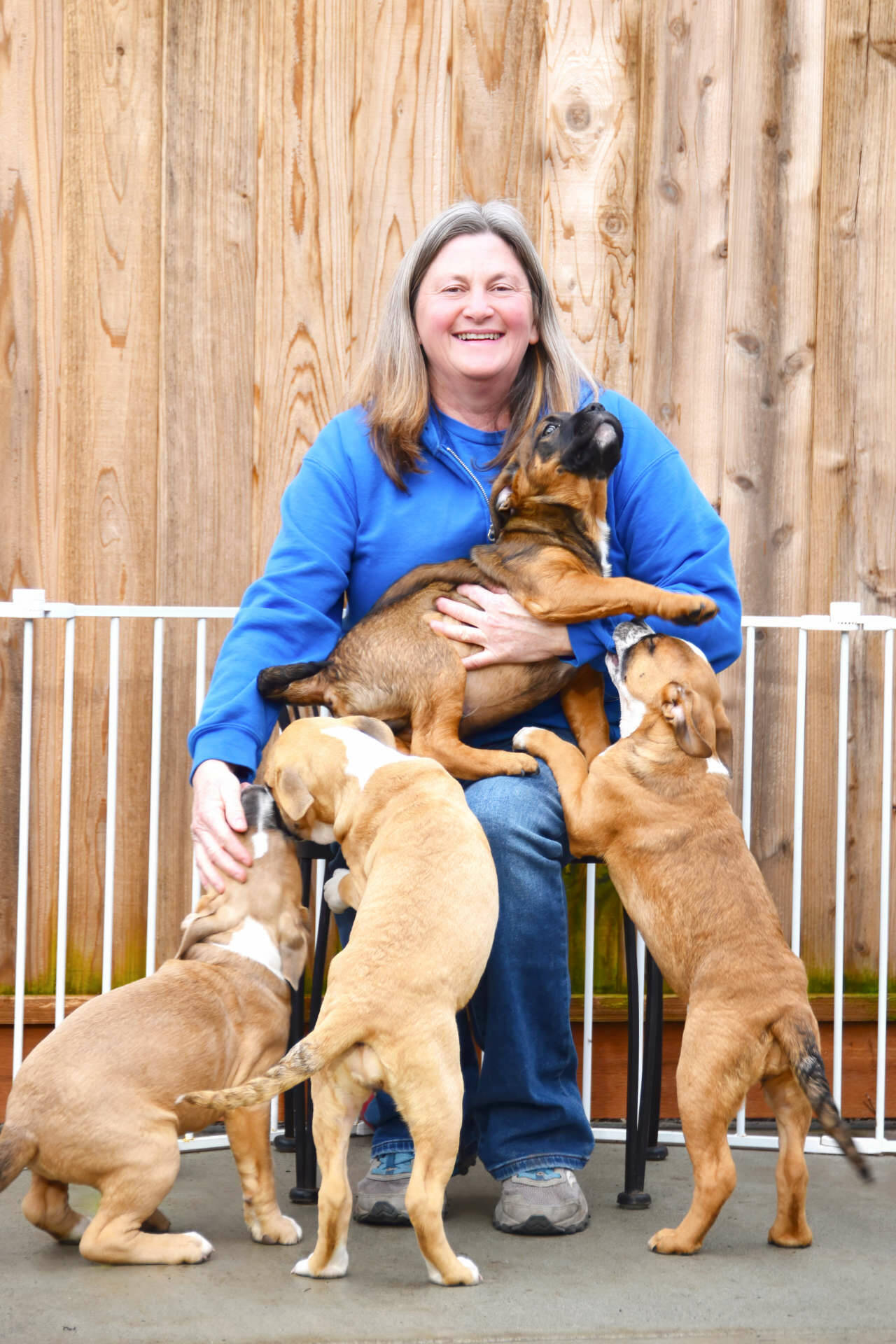 Sequim Gazette photo by Monica Berkseth
WAGs Mel Marshall with Pit Bull puppies.