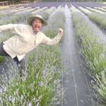 Photo courtesy David Herbelin/ Pictured here in his lavender field at Old Barn Lavender Company, David Herbelin does The Herbelin, a pose his friends and family coined that hes done for fun for pictures over many years.