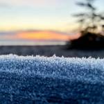 Photo by Teresa Herrera/ Sequim Gazette reader Teresa Herrera, who often takes photos while out on her morning walk, snapped this photo of frost against the backdrop of an Olympic Peninsula sunrise on Friday, Feb. 20.