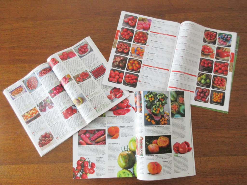 Photo by Audreen Williams/ Seed catalogues are a valuable resource for home gardeners but should be used wisely.