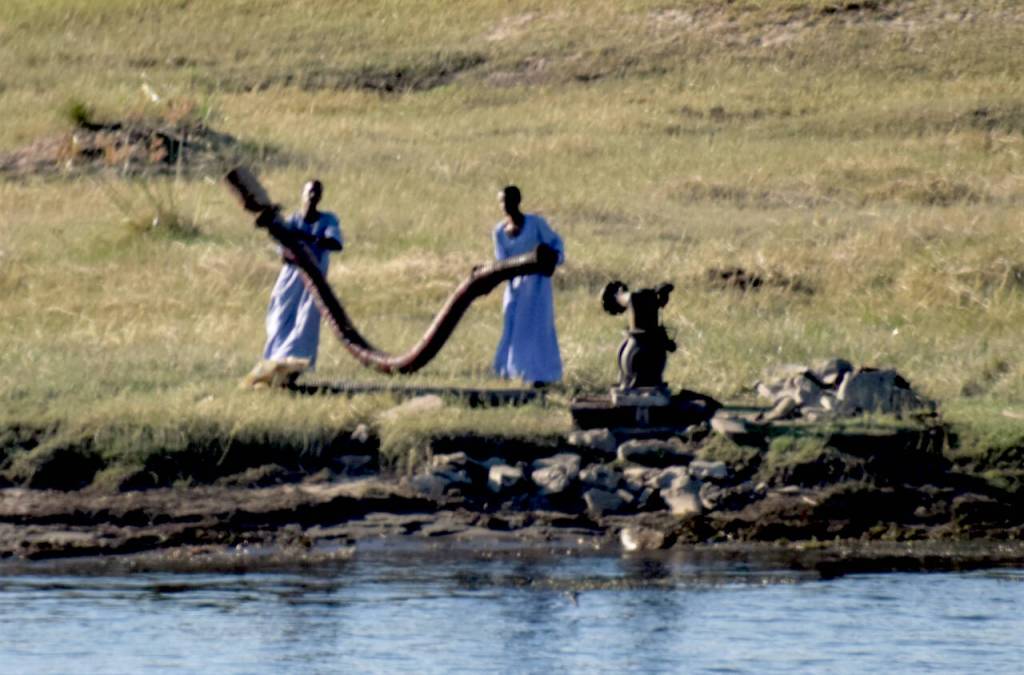 Photo courtesy Steve and Mirja Wilson/ Egyptian farmers hook up massive hoses to diesel pumps to spread water far from the shore of the Nile River.