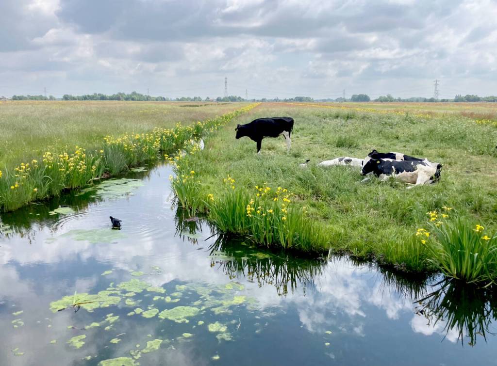 Photos courtesy Steve Durrant and Chris Carlson
The Netherlands is one of the worlds most densely populated countries and the second largest food exporter.