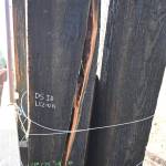 Photo by Michael Dashiell, Jamestown SKlallam Tribe/ In January, the Jamestown SKlallam Tribe announced plans to replace the truss of the Dungeness Railroad Bridge due to its wood deteriorating.