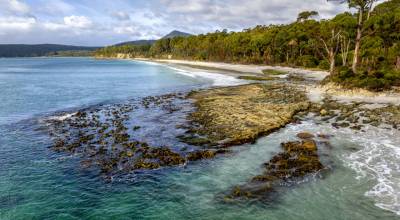 Photo courtesy John Gussman
Adventure Bay, located on the eastern side of Bruny Island in Tasmania, Australia, is known for its abundant wildlife, white sandy beaches, and crystal-clear water.