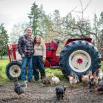 Sequim Gazette photo by Monica Berkseth
Kidney transplant recipient Gabriele Ellis is able to once again help her partner Steffan Sherman run their farm in Sequim, thanks to help from Northwest Kidney Centers, a nonprofit, community-based provider of kidney dialysis that has an office in Port Angeles. Ellis credits the organization for the kidney transplant she received last October, and said that the staff were very caring, encouraging and helpful.