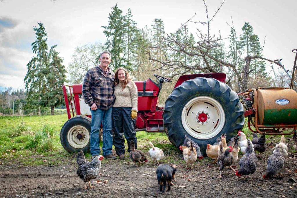 Sequim Gazette photo by Monica Berkseth
Kidney transplant recipient Gabriele Ellis is able to once again help her partner Steffan Sherman run their farm in Sequim, thanks to help from Northwest Kidney Centers, a nonprofit, community-based provider of kidney dialysis that has an office in Port Angeles. Ellis credits the organization for the kidney transplant she received last October, and said that the staff were very caring, encouraging and helpful.