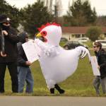 Sequim Gazette photo by Matthew Nash/