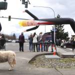 Sequim Gazette photo by Matthew Nash/