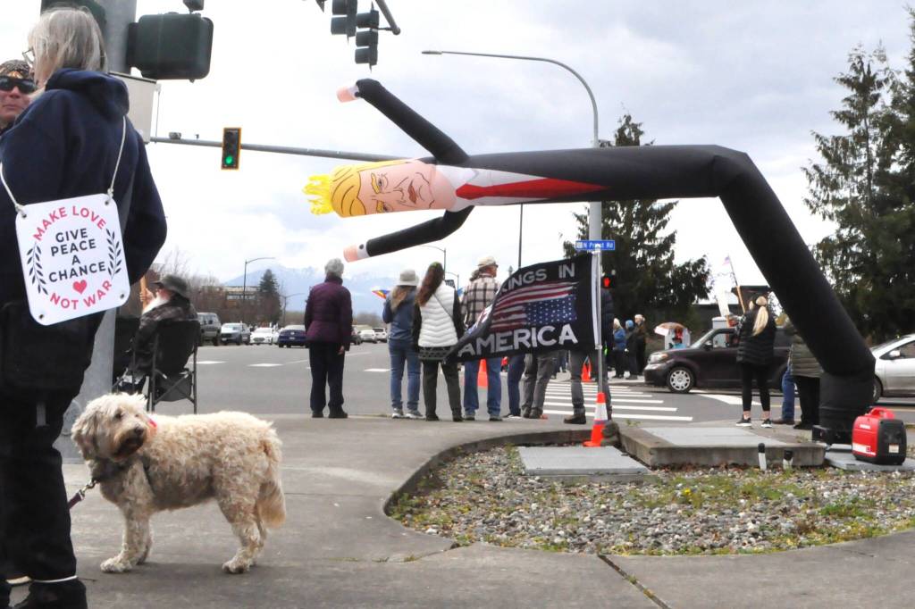 Sequim Gazette photo by Matthew Nash/