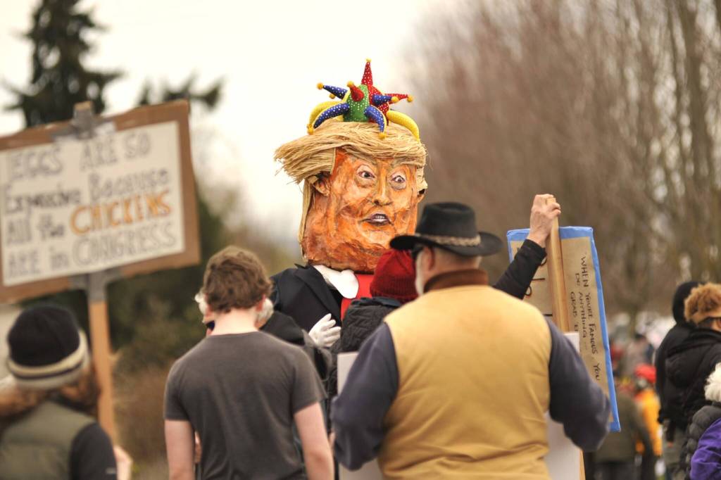 Sequim Gazette photo by Matthew Nash/