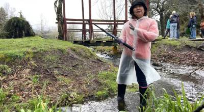 Sequim Gazette photos by Matthew Nash
Shoko Suskind, a volunteer for the Sequim-Shiso City Friendship Garden, stands in the water pulling weeds from the shoreline. She is one of 10 volunteers who work from 9 a.m.-noon each Tuesday from late March to October to provide upkeep of the garden. More volunteers are welcome.