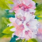 First to Bloom by Jolene Sanborn.