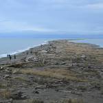 Sequim Gazette file photo by Michael Dashiell/
 On Aug. 16, 2024, Jamestown SKlallam Tribe and U.S. Fish and Wildlife Service agreed to a co-stewardship agreement for the Dungeness and Protection Island National Wildlife Refuges with the Tribe taking over the day-to-day management of the refuges. Now the tribe seeks to transfer ownership to trust lands so it can own and maintain the properties.