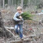 Sequim Gazette photo by Matthew Nash/
Connor Perry carries an armful of trees to help a classmate plant during a field trip on March 25. Third graders from Helen Haller Elementary planted hundreds of trees on state trust land off Blue Mountain Road managed by the Department of Natural Resources.