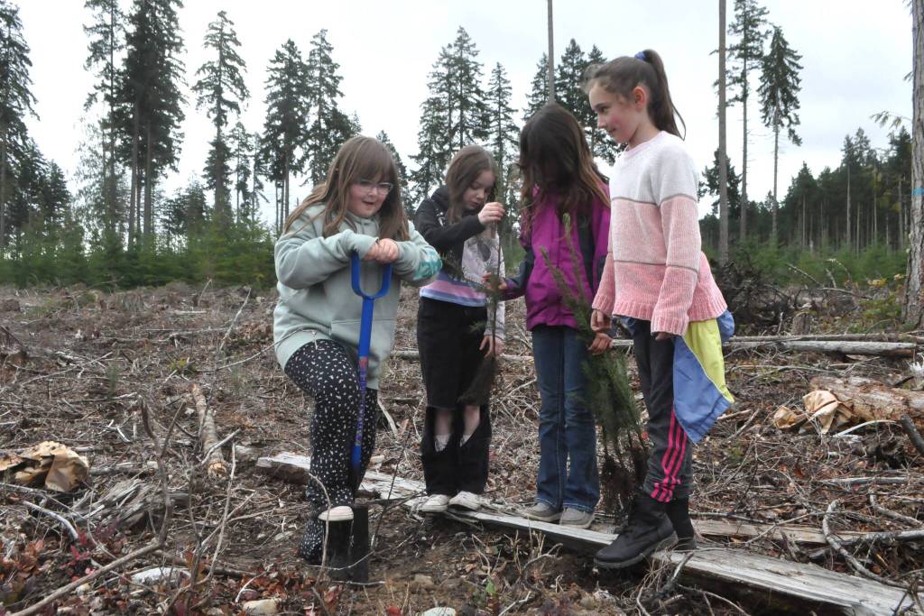 Sequim Gazette photo by Matthew Nash/