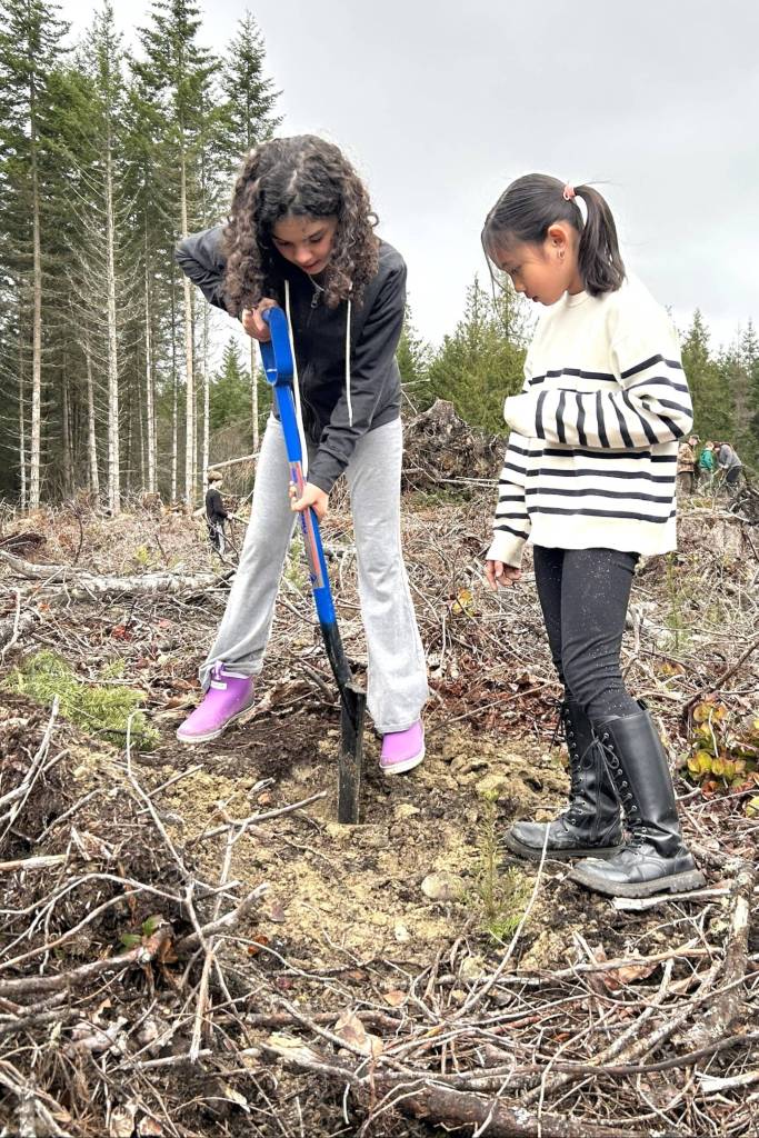 Sequim Gazette photo by Matthew Nash/