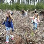 Sequim Gazette photo by Matthew Nash/