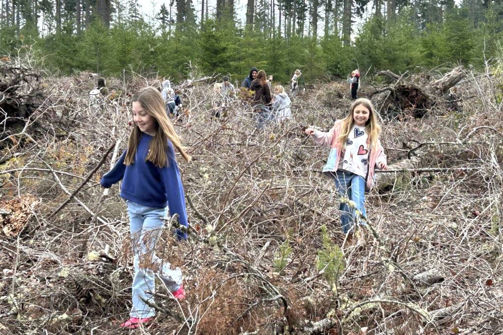 Sequim Gazette photo by Matthew Nash/