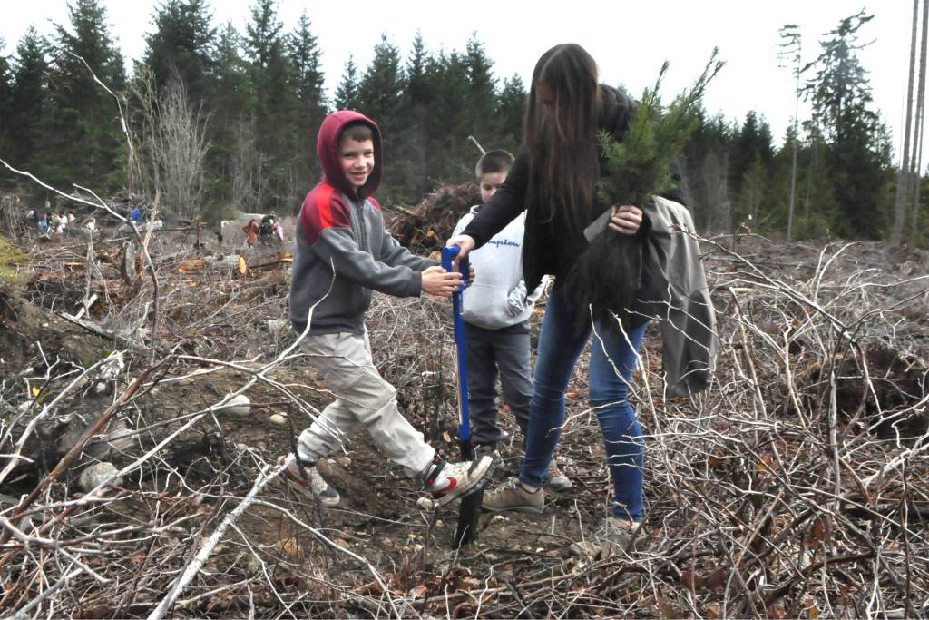 Sequim Gazette photo by Matthew Nash/