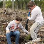 Sequim Gazette photo by Matthew Nash/
Henry Beck and Keith Berlinger plant a Douglas fir on March 25.
