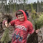 Sequim Gazette photo by Matthew Nash/