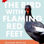 Graphics courtesy NOLS